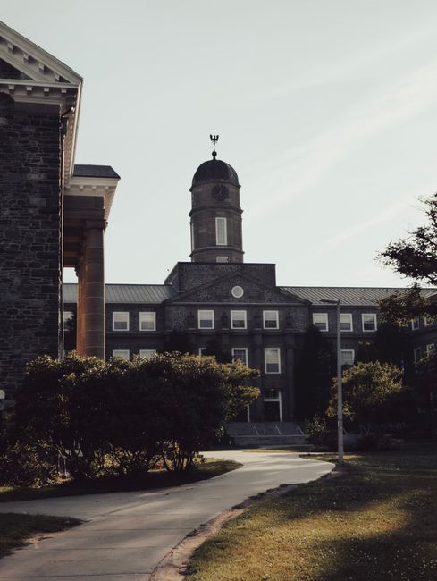 Global Higher Ed Scalable Employability Strategy